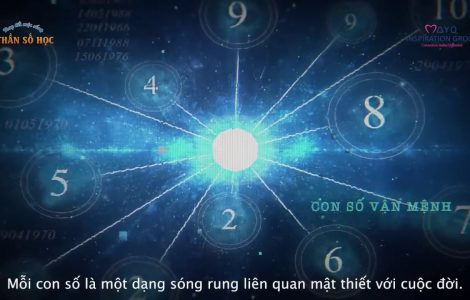 Khám Phá Sức Mạnh Biến Đổi Của Con Số Chủ Đạo 11 Trong Nhân Số Học