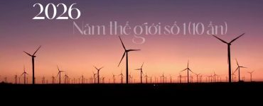 Năm 2026: Hành Trình Vào Năm Thế Giới Số 1 (10 Ẩn) Và Cơ Hội Thăng Hoa Tâm Thức