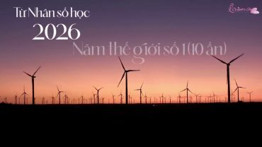 Năm 2026: Hành Trình Vào Năm Thế Giới Số 1 (10 Ẩn) Và Cơ Hội Thăng Hoa Tâm Thức