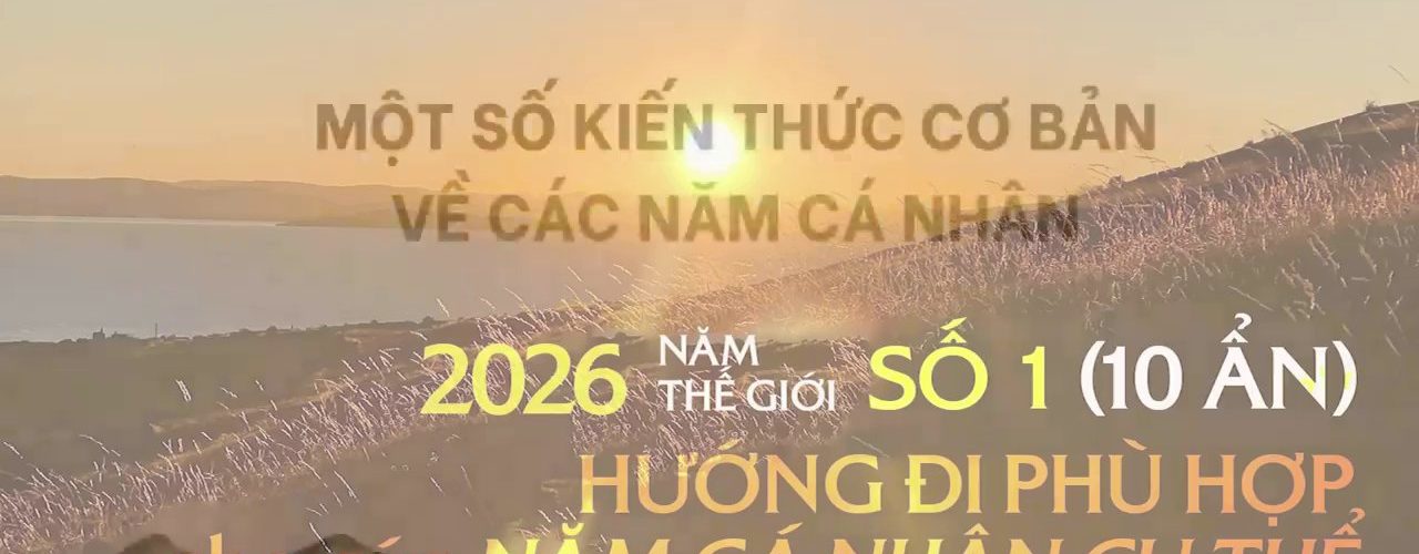 Khám Phá Hành Trình Năm Cá Nhân 2026: Hướng Dẫn Chi Tiết Từ Năm Thứ 1 Đến Năm Thứ 8