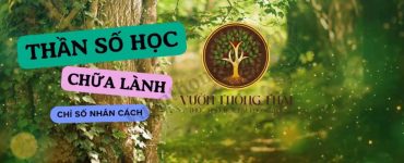 Không phải ngẫu nhiên mà bạn lại có thiện cảm với một người ngay từ cái nhìn đầu tiên. Cũng chẳng phải tình cờ khi ai đó đột nhiên cảm thấy khó gần với bạn dù chưa kịp nói với nhau câu nào. Đằng sau n