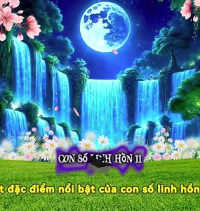 Con Số Linh Hồn 11: Khi Trực Giác Và Lý Tưởng Hòa Quyện Là m Nên Sức Mạnh Tâm Linh