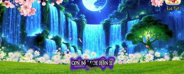 Con Số Linh Hồn 11: Khi Trực Giác Và Lý Tưởng Hòa Quyện Là m Nên Sức Mạnh Tâm Linh