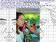 Người Số 2 Trong Thần Số Học: Sứ Mệnh Hòa Bình Và Hành Trình Tìm Lại Chính Mình