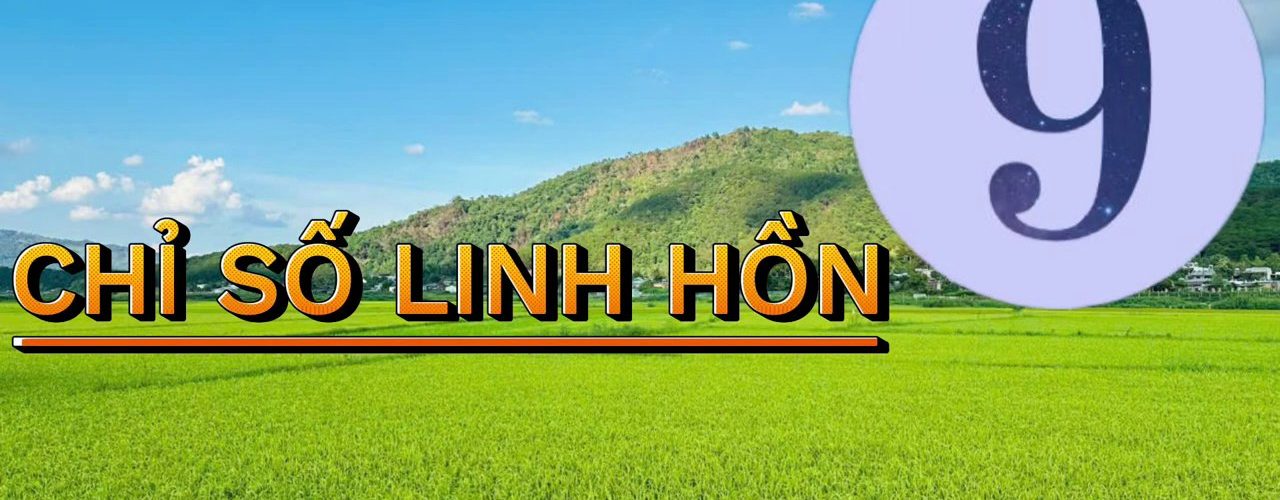 Chỉ Số Linh Hồn Số 9: Trái Tim Nhân Ái Và Sứ Mệnh Chữa Lành Thế Giới