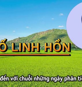 Chỉ Số Linh Hồn Số 9: Trái Tim Nhân Ái Và Sứ Mệnh Chữa Lành Thế Giới