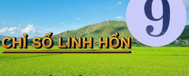Chỉ Số Linh Hồn Số 9: Trái Tim Nhân Ái Và Sứ Mệnh Chữa Lành Thế Giới