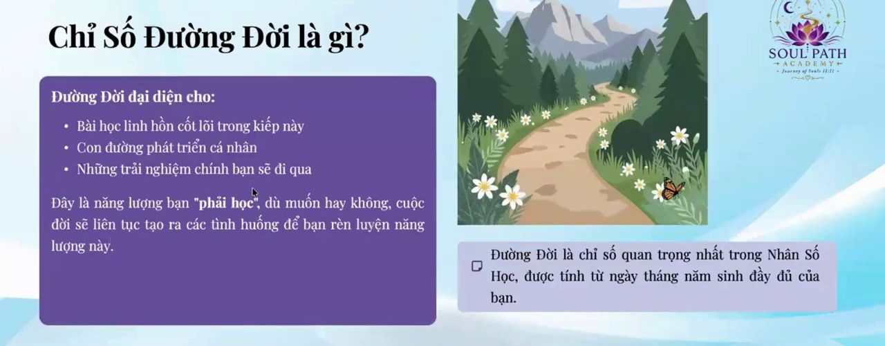 Con Đường Đời Trong Thần Số Học: Hành Trình Vượt Thử Thách Để Thức Tỉnh