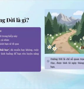 Con Đường Đời Trong Thần Số Học: Hành Trình Vượt Thử Thách Để Thức Tỉnh