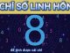 Chỉ Số Linh Hồn Số 8: Khát Vọng Lãnh Đạo Và Quyền Lực Từ Trái Tim