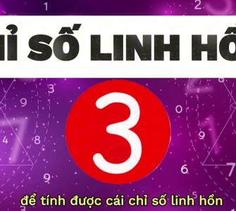 Chỉ Số Linh Hồn Số 3: Tỏa Sáng Và Sống Đúng Với Đam Mê Bên Trong