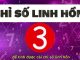 Chỉ Số Linh Hồn Số 3: Tỏa Sáng Và Sống Đúng Với Đam Mê Bên Trong