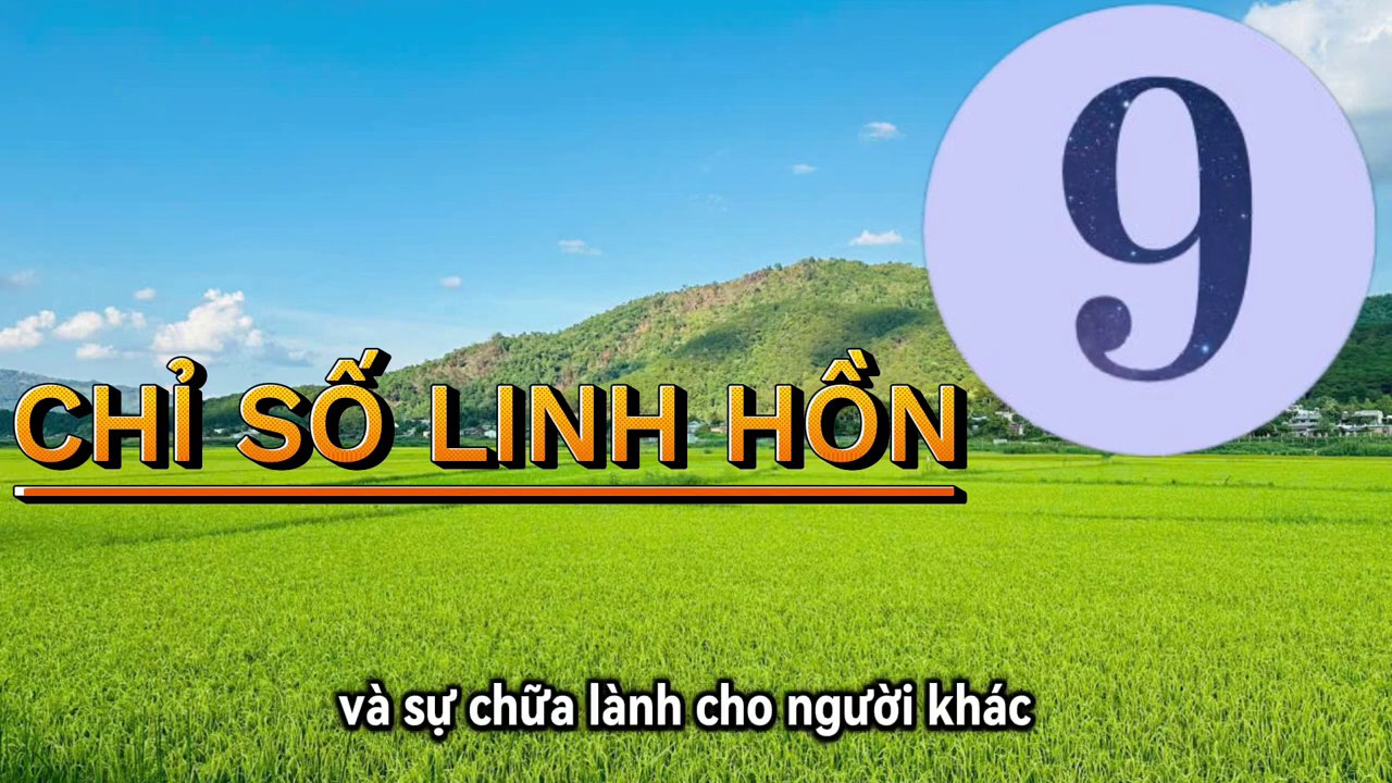 Một nhóm tình nguyện viên đang cùng nhau xây nhà cho người nghèo, nụ cười rạng rỡ trên khuôn mặt.
