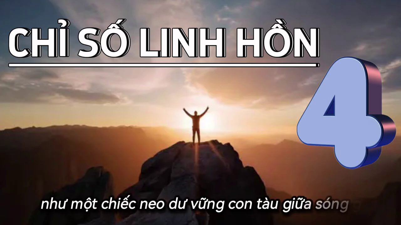 Một cây cổ thụ với bộ rễ vững chắc, tượng trưng cho sự ổn định và bền bỉ.